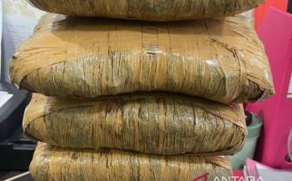 Ojol Bekerja Sampingan Jadi Kurir Ganja 5,2 Kilogram - JPNN.com