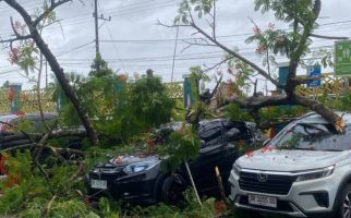 Kendaraan-Kendaraan Tertimpa Pohon Tumbang Akibat Cuaca Ekstrem di Lombok Timur - JPNN.com