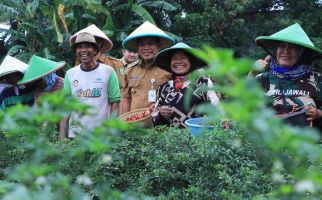 Gaungkan Urban Farming, Dr. Nurdin Berkomitmen Perkuat Ketahanan Pangan Jaga Inflasi - JPNN.com