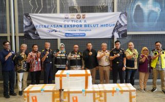 Bea Cukai Melepas Ekspor 13 Ribu Ekor Belut Sawah Hidup Asal Banjarmasin ke Tiongkok - JPNN.com