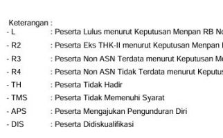 Honorer Bingung dengan Kode Kelulusan PPPK Tahap 1, Penjelasan BKN Bisa Membantu - JPNN.com