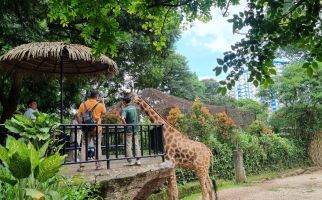 Pungli Parkir di Kebun Binatang Bandung, Bus Pariwisata Digetok Tarif Rp 150 Ribu  - JPNN.com