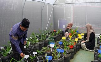 Resmikan Greenhouse, KEHATI Dorong Pelestarian Tanaman Herbal di Ponpes - JPNN.com