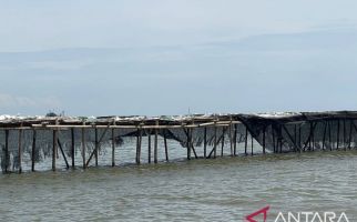 Oh Ternyata Ini Biang Kerok Pemasangan Pagar Laut Misterius - JPNN.com