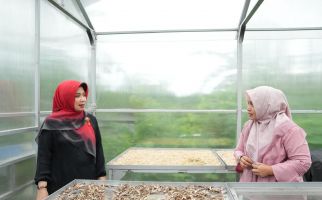 Kementan Dorong Smart Farming untuk Memajukan Pertanian Modern dan Berkelanjutan - JPNN.com