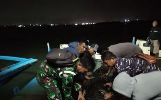 TNI AL Dikerahkan Untuk Cari Buaya yang Lepas dari Penangkaran di Pulau Bulan - JPNN.com