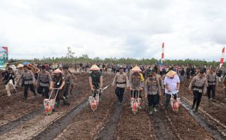 Polda Kalteng Tanam Jagung di Lahan 1.200 Hektare Untuk Dukung Asta Cita - JPNN.com