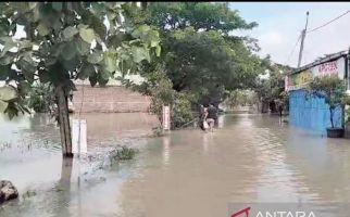 Banjir Merendam Ratusan Hektare Sawah di Sragen - JPNN.com