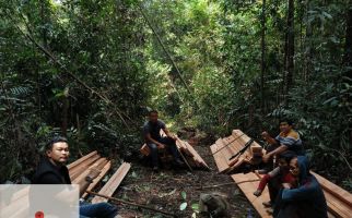 7 Warga Jabar Ditangkap di Riau Gegara Merusak Hutan Lindung SM Rimbang Baling - JPNN.com