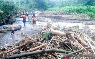 Diterjang Banjir, Jembatan Antardusun di Situbondo Terputus, Ratusan KK Terisolasi - JPNN.com