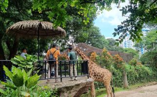 Begini Nasib Kebun Binatang Bandung Seusai Disita Kejaksaan - JPNN.com