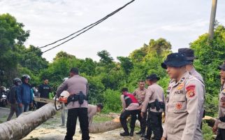 Seorang Pelajar Tewas Tertimpa Pohon Tumbang di Gilimanuk - JPNN.com