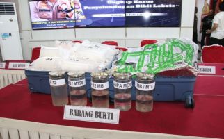 Polisi Gagalkan Penyelundupan 11.543 Benih Lobster yang Hendak Dibawa ke Singapura - JPNN.com