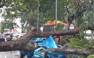 Cuaca Ekstrem Mengintai, 22 Ribu Pohon di Semarang Berisiko Tumbang - JPNN.com