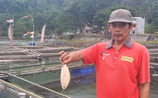 Ribuan Ikan Keramba di Telaga Ngebel Ponorogo Mati Mendadak - JPNN.com