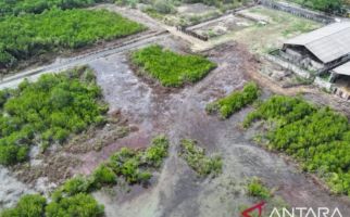 Lahan Pesisir Pantai di Pamekasan Dimiliki Budiono, Dibangun Hotel, Dealer Mobil - JPNN.com