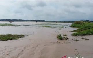 Ribuan Hektare Sawah Milik Warga di Lampung Selatan Terendam Banjir - JPNN.com