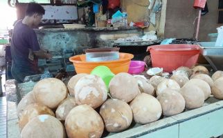 Pasokan Kelapa Menipis, Pedagang di Jakarta Terimpit Kenaikan Harga - JPNN.com