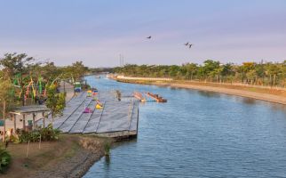 PIK2 Punya Bird Sanctuary, Rumah Berlindung Berbagai Spesies Burung - JPNN.com