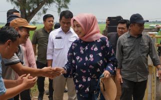 Kementan Tinjau Lokasi Climate Smart Agriculture di Subang - JPNN.com