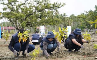 Hijaukan Pesisir, PNM dan Sukarelawan BUMN Tanam 1.000 Mangrove - JPNN.com