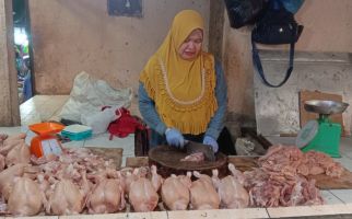 Menjelang Ramadan 2025, Harga Ayam Potong di Palembang Merangkak Naik - JPNN.com