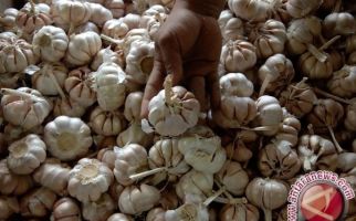 KPPU Pantau Kenaikan Harga Bawang Putih - JPNN.com