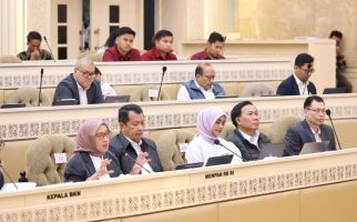 Kesimpulan Raker: Pengangkatan PPPK 2024 Maret 2026 - JPNN.com
