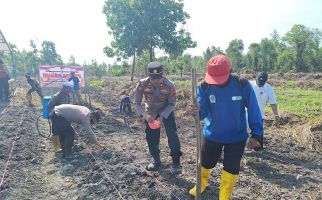 Dukung Ketahanan Pangan, Polisi dan SRPO Tanam Jagung di Dumai - JPNN.com