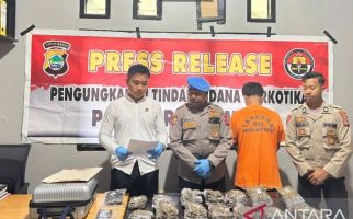 Bawa 2,2 Kg Ganja, Orang Ini Ditangkap Polisi, Ada yang Kenal? - JPNN.com