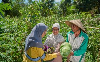 PT STM Pacu Pertanian Organik Perusahaan, Hasil Panen Petani Melimpah - JPNN.com