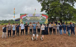 Gandeng Polri, PalmCo Optimalkan Lahan Replanting Sawit untuk Tanam Jagung - JPNN.com