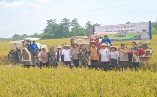 Tinjau Panen Raya di Klaten, Marga Taufiq Pastikan Bulog Serap Gabah Petani Sesuai HPP - JPNN.com