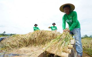 Lumbung Pangan Sukabumi Suplai 133,7 Ton Beras Zakat Fitrah - JPNN.com