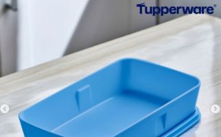 33 Tahun Ada, Tupperware Resmi Hengkang dari Aktivitas Bisnis Indonesia - JPNN.com