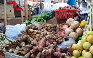 6 Teknik Pengeringan Herbal yang Benar untuk Mendapatkan Hasil Maksimal - JPNN.com