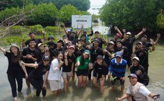 Rayakan Hari Bumi, Modena Tanam 500 Mangrove di Pulau Harapan - JPNN.com