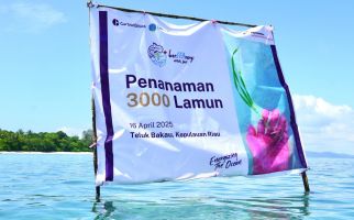 Jaga Ekosistem Laut, PIS Tanam 3.000 Bibit Lamun di Teluk Bakau - JPNN.com