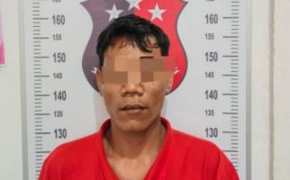 Curi Ratusan Buah Kelapa Sawit, Pria Pengangguran Ini Ditangkap, 2 Pelaku Masih Diburu - JPNN.com