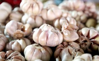 Turunkan Kolesterol dengan Rutin Mengonsumsi 7 Ramuan Alami Ini - JPNN.com