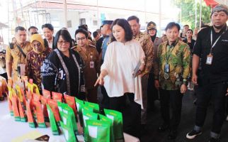 Wamen PPPA Dorong Kesetaraan Perempuan Lewat Pemberdayaan Ekonomi Keluarga - JPNN.com