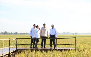 Stok Bulog Selama 4 Bulan Capai 3,5 Juta Ton, Terbesar Sejak Indonesia Merdeka - JPNN.com