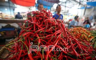 YLKI Anggap Kenaikan Harga Cabai Fenomena Tak Rasional - JPNN.com