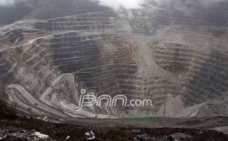 Curigai Freeport Sembunyikan Mineral Khusus dari Papua - JPNN.com