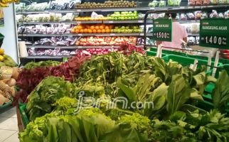 Cerita Iip Irfan, Milenial Penjual Sayuran, Punya Omzet Rp 50 Juta per Bulan - JPNN.com