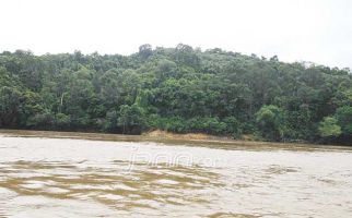 Misteri Sepasang Buaya Putih di Sungai Mahakam - JPNN.com
