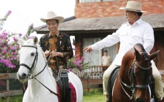 PPP Sangat Happy Jika Prabowo Mau Jadi Cawapres untuk Jokowi - JPNN.com