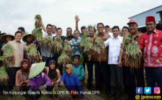 Komisi IV Pastikan Distribusi Bawang Merah Aman - JPNN.com