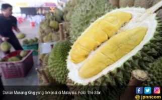 Terungkap Sudah Rahasia Bau Menyengat Buah Durian - JPNN.com