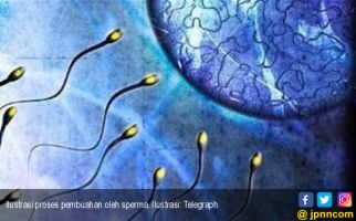 Tingkatkan Kualitas Sperma dengan 7 Cara Alami Ini - JPNN.com